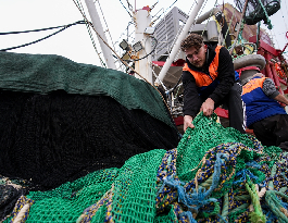 Egeli bal?kç?lar umutu