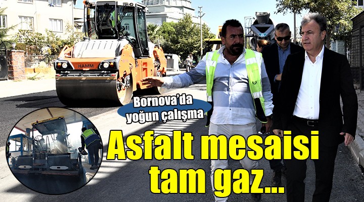 Bornova’da asfalt serimleri devam ediyor